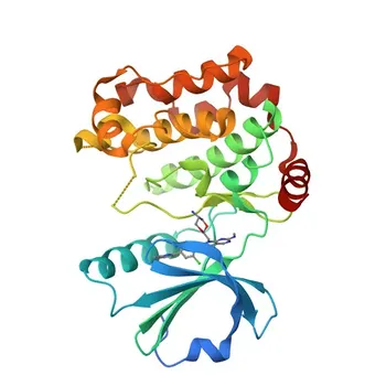 Anticorpo Policlonale Anti-STK24 per WB, IHC-P, IF/ICC, ELISA - Q9Y6E0