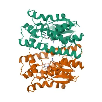 Anticorpo Policlonale Anti-GSTT2B per WB, IF/ICC, ELISA - P0CG30