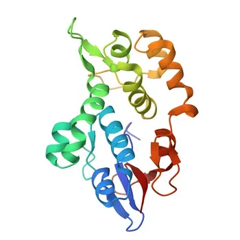 Anticorpo policlonale di coniglio anti-Envoplakin (EVPL) per WB, ELISA - Q92817