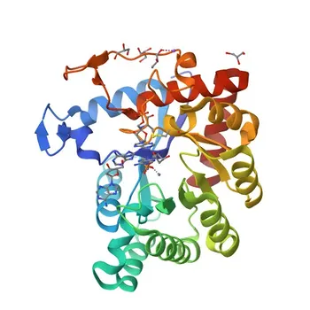 Anti-TATDN1 Polyclonal Antibody for WB and ELISA - Q6P1N9