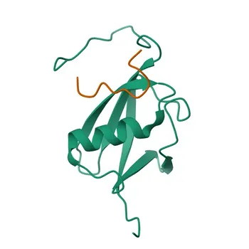 Anticorpo policlonale coniglio anti-ATF7IP per WB, ELISA - Q6VMQ6