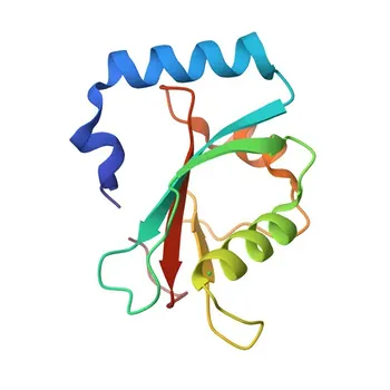 Anticorpo policlonale anti-GABARAP per WB, IHC-P, IF/ICC, ELISA - O95166