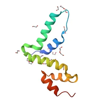 Anticorpo policlonale anti-PEG3 per WB, IHC-P, ELISA - Q9GZU2