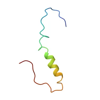 KCNMB2 pAb di coniglio per WB, ELISA - Q9Y691