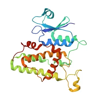 Anticorpo policlonale anti-CLIC1 per WB, IF/ICC, ELISA - O00299