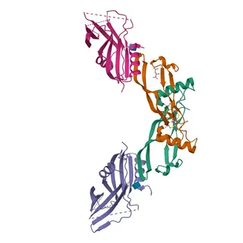 Anti-BMP10 Polyclonal Antibody for WB, ELISA - O95393