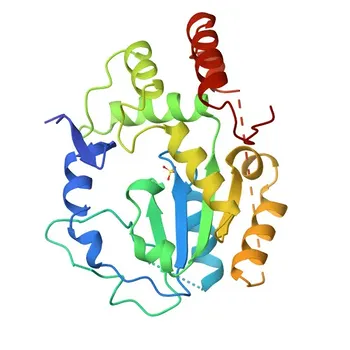 Anticorpo Policlonal Anti-SULT1A3 para WB, IF/ICC, ELISA - P0DMM9