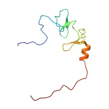 Anticorpo policlonale anti-LIMA1 per WB, IHC-P, ELISA - Q9UHB6