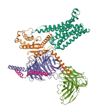 Anti-Melanocortin Receptor 3 (MC3R) Rabbit Polyclonal Antibody for WB and ELISA - P41968