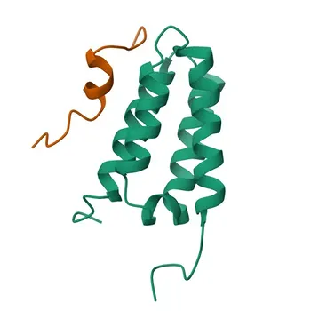 Anti-RASSF1 Rabbit Polyclonal Antibody for WB and ELISA - Q9NS23
