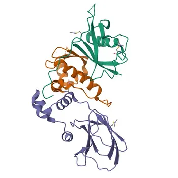 Anticorpo policlonale di coniglio anti-TCEB1 per WB, IHC-P, ELISA - Q15369
