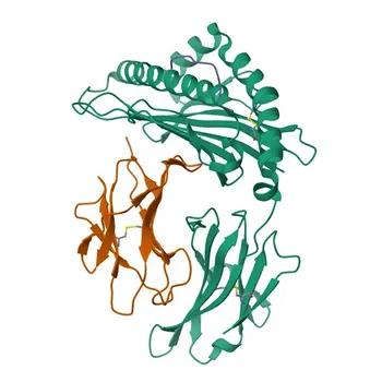 Anti-TLR9 Polyclonal Antibody for WB, IHC-P, ELISA - Q9NR96