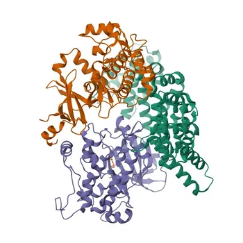 Anticorpo Policlogal de Coelho Phospho-STK11-S334 para WB, ELISA - Q15831