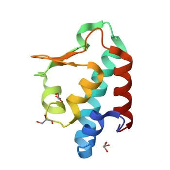 Anticorpo Policlonale Anti-NGLY1 per WB, IF/ICC, ELISA - Q96IV0