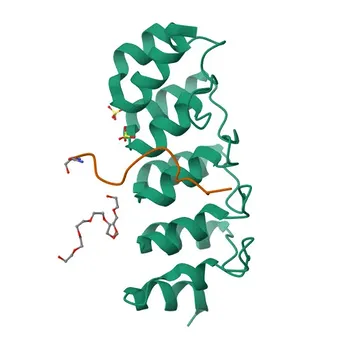 Anticorpo Policlonale Anti-SH3BP2 per WB, ELISA - P78314