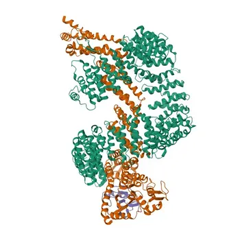 Anti-CUL4B Polyclonal Antibody for WB, ELISA - Q13620