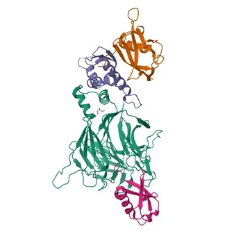 Anticorpo policlonale Anti-KLHDC3 per WB, IF/ICC, ELISA - Q9BQ90