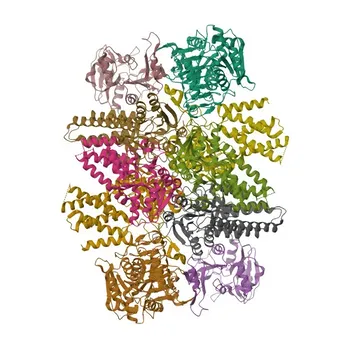 Anti-EIF2B3 Rabbit Polyclonal Antibody for WB, IF/ICC, ELISA - Q9NR50