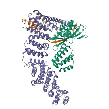 Anticorpo Policlonale Anti-Glomulina (GLMN) per WB, ELISA - Q92990