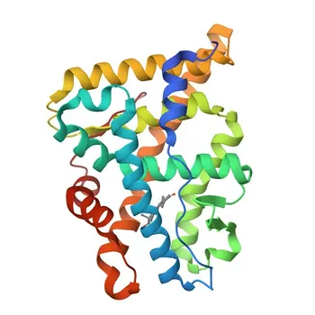Anticorpo Policlonale Rabbit Anti Recettore del Progesterone per WB, IHC-P, ELISA - P06401