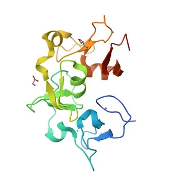 Anti-JADE1 Rabbit Polyclonal Antibody for IF/ICC, ELISA - Q6IE81