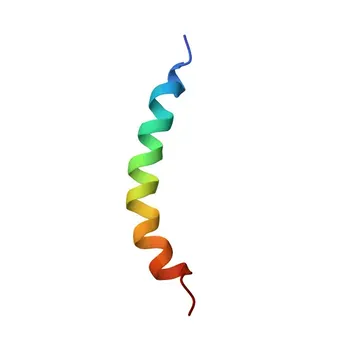 Anti-SLC31A1 Polyclonal Antibody for WB, ELISA - O15431