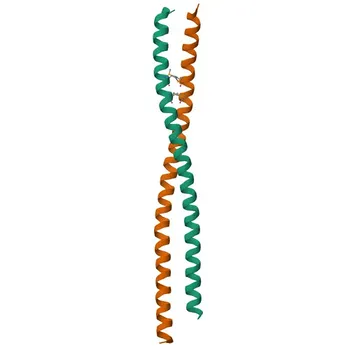 Anticorpo policlonale coniglio anti-CASP8AP2 per WB, ELISA - Q9UKL3