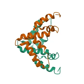 Anticorpo Policlonale Anti-MZF1 per WB, ELISA - P28698