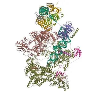 Anti-CD2BP2 Polyclonal Antibody for WB and ELISA - O95400