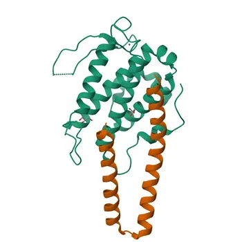 Anti-STK38L Polyclonal Antibody for WB, IF/ICC, ELISA - Q9Y2H1