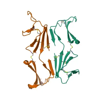 Anticorpo Policlonale Anti-MSMB per WB, ELISA - P08118