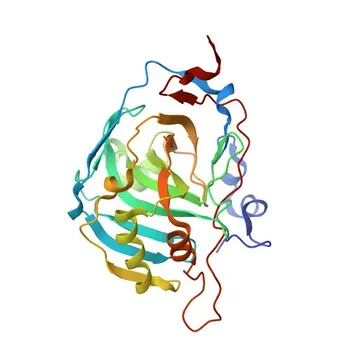 Anti-CA3 Rabbit Polyclonal Antibody for WB, IHC-P, ELISA - P07451