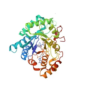 Anticorpo policlonal anti-AKR1C1 para WB, ELISA - Q04828