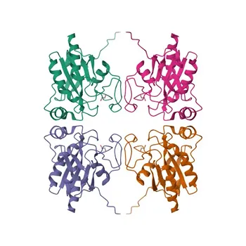 Anti-GPX5 Polyclonal Antibody for WB, ELISA - O75715