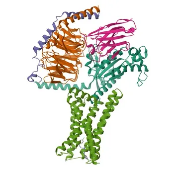 Anti-GPER1 Rabbit Polyclonal Antibody for WB, IF/ICC, ELISA - Q99527