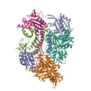 Anticorpo Policlonale Anti-TWF1 per WB, ELISA - Q12792