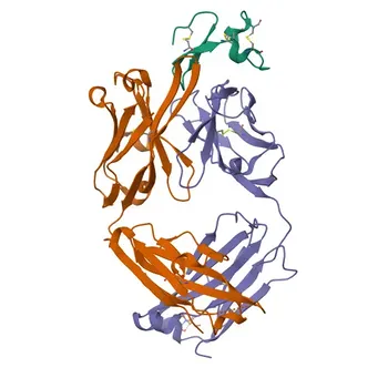 Anti-TNFRSF17 Rabbit Polyclonal Antibody for WB, IF/ICC, ELISA - Q02223