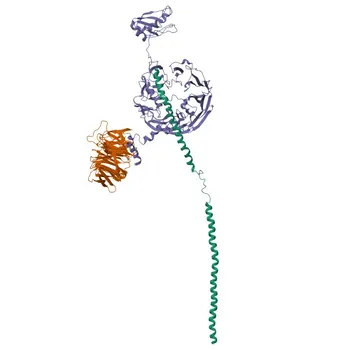 Anticorpo Policlonale Anti-eIF3B per WB, IF/ICC, ELISA - P55884