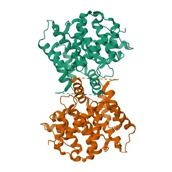 Anticorpo policlonale anti-PDE4C per IF/ICC, ELISA - Q08493