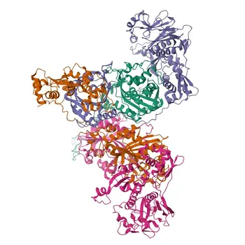 Anti-FARSB Rabbit Polyclonal Antibody for WB, IF/ICC, ELISA - Q9NSD9