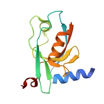 Anti-MPDZ Rabbit Polyclonal Antibody for WB, ELISA - O75970