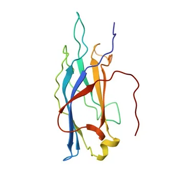 Anti-RIMS2 Rabbit Polyclonal Antibody for WB, ELISA - Q9UQ26