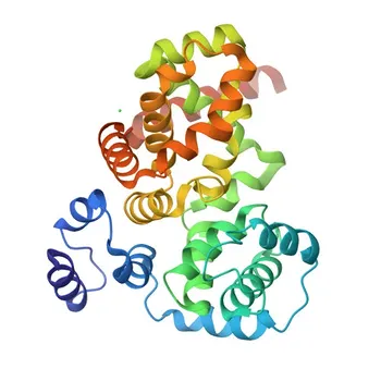 Anticorpo policlonale anti-RABGAP1 per WB, IHC-P, ELISA - Q9Y3P9