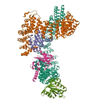 Anti-AP3D1 Rabbit Polyclonal Antibody for WB, ELISA - O14617