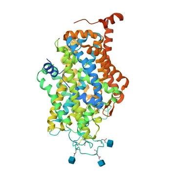 Anti-SLC6A1 Polyclonal Antibody for WB, ELISA - P30531