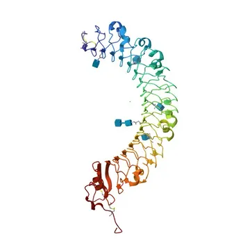Anticorps polyclonal de lapin anti-LRIG1 pour WB et ELISA - Q96JA1