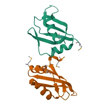 Anti-HNRNPD Polyclonal Antibody for WB, IHC-P, IF/ICC, IP, ELISA - Q14103