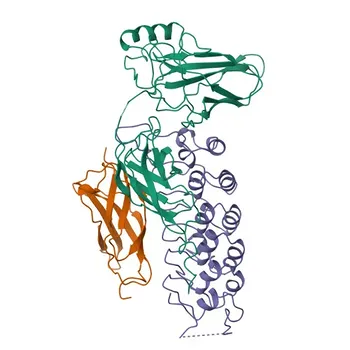 Anticorpo Monoclonal de Coelho Anti-Fosfo-IκBα (Ser32) para WB, ELISA - P25963