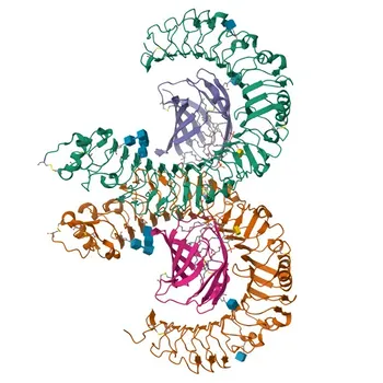 Anti-TLR4 Polyclonal Antibody for WB, IF/ICC, IP, ELISA - O00206