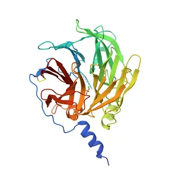 Anti-PON1 Rabbit Polyclonal Antibody for WB, ELISA - P27169